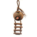 Natural Coconut Shell Bird Nest House Hut Cage Feeder Pet Parrot Parake ZSZ