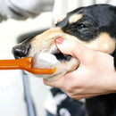 Durable Toothbrush Dog Oral Care Toothpaste Cat Dental Pet Teeth Cleaning  QAR