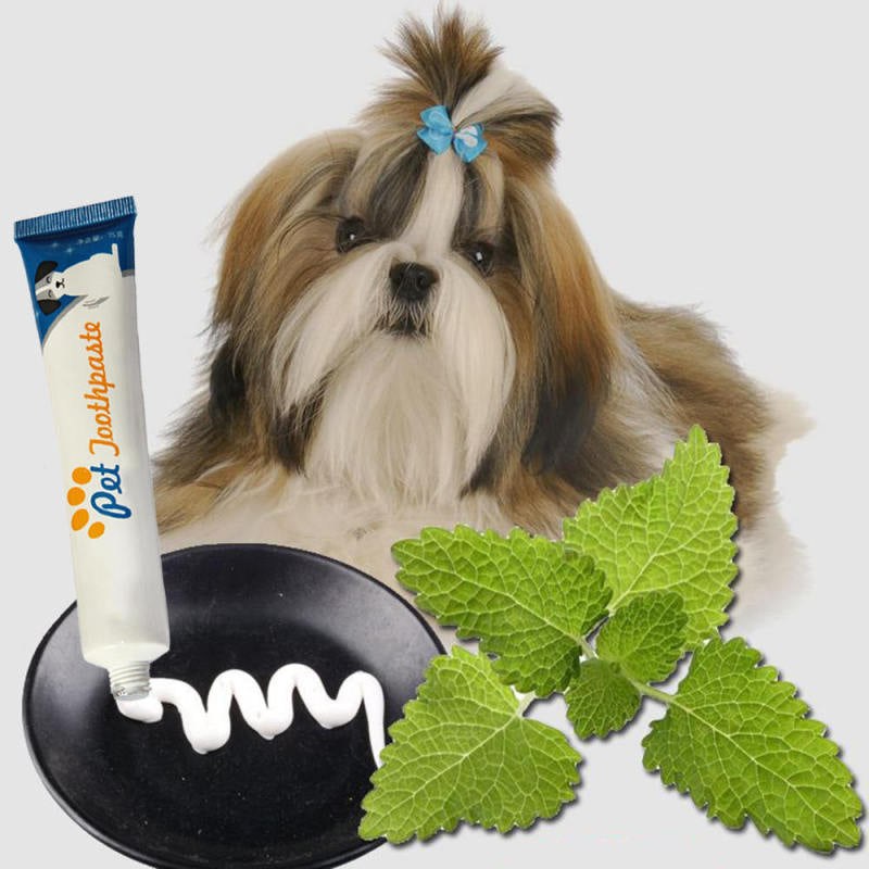 Durable Toothbrush Dog Oral Care Toothpaste Cat Dental Pet Teeth Cleanin GQM