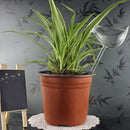 Birds Design Glass Plant Flowers Water Feeder Self Watering Plant Waterer 1 x