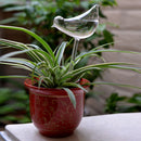 Birds Design Glass Plant Flowers Water Feeder Self Watering Plant Waterer 1 x