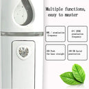 Portable New Beauty Steamer USB Charging Handheld Nano Spray Humidifier NMX
