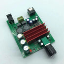 1PCS TPA3116D2 Mono Power Amplifier Board 100W Subwoofer Power Amplifier vc