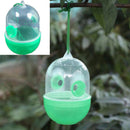 Outdoor Garden Wasp Fly Trap Catcher Beekeeping Equipment Tools  BFH