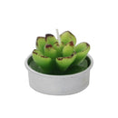 Succulent Cacti Candle Soap DIY Craft Plaster Home Use Light Supply Candle Plant
