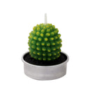 Succulent Cacti Candle Soap DIY Craft Plaster Home Use Light Supply Candle Plant