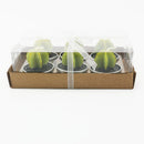Succulent Cacti Candle Soap DIY Craft Plaster Home Use Light Supply Candle Plant