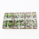 Succulent Cacti Candle Soap DIY Craft Plaster Home Use Light Supply Candle Plant