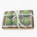 Succulent Cacti Candle Soap DIY Craft Plaster Home Use Light Supply Candle Plant