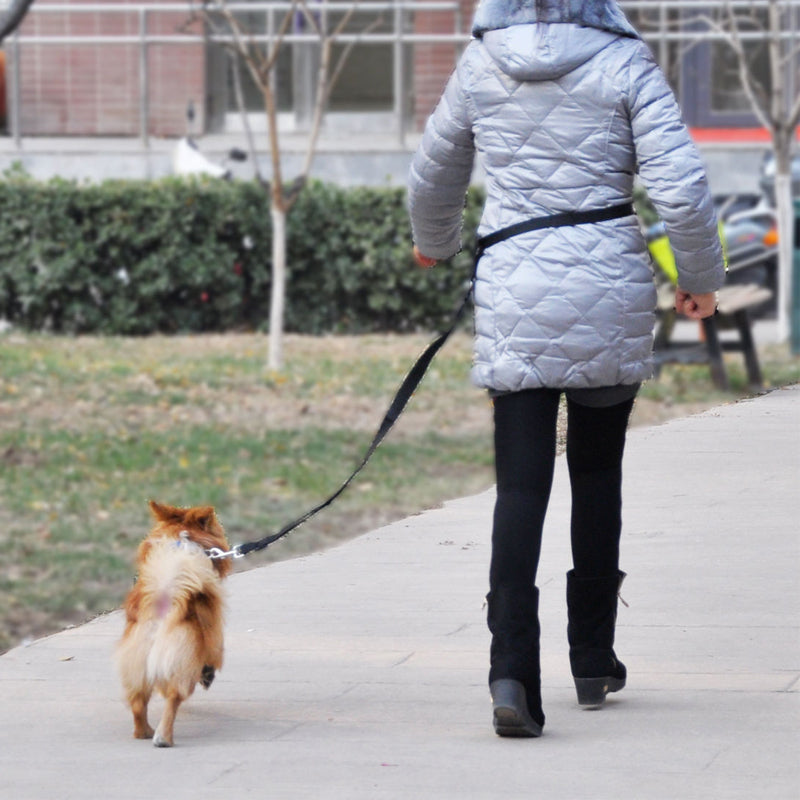 Great Adjustable Handsfree Dog Walking Running Jogging Lead Leash Wais Hot