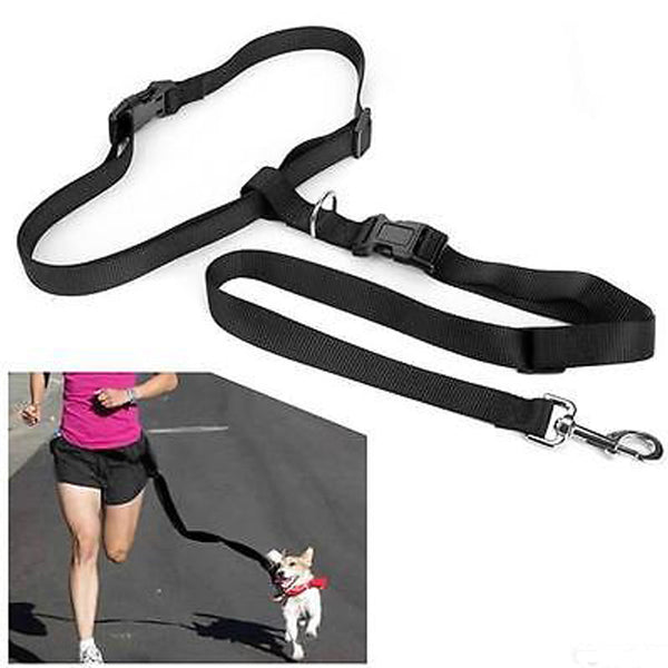 Great Adjustable Handsfree Dog Walking Running Jogging Lead Leash Wais Hot