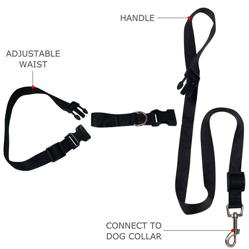 Great Adjustable Handsfree Dog Walking Running Jogging Lead Leash Wais Hot