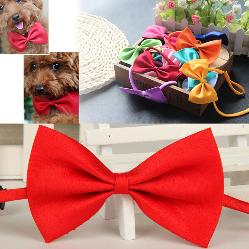 Fashion Adorable Dog Cat Pet Puppy Cat Kitten Bowknot Bow Tie Necktie Clothes 1x