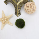 Marimo Ball Live Algae Aquarium Plant Fish Tank Landscape Ornament GUK