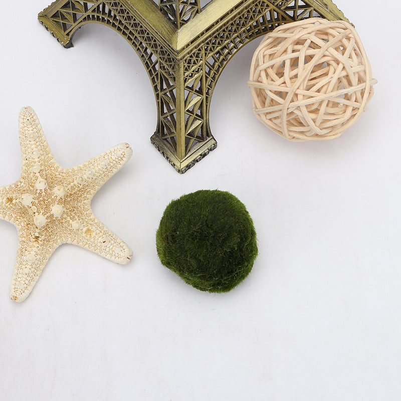 Marimo Ball Live Algae Aquarium Plant Fish Tank Landscape Ornament GUK