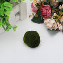 Marimo Ball Live Algae Aquarium Plant Fish Tank Landscape Ornament GUK