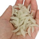 100 * Artificial Soft Fishing Baits Worm Maggot Grub  Bright Colors Shape  KKI