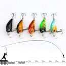 5x Minnow Fishing Lures Bass Crankbait Hooks Tackle Crank Baits + Fishi RVN