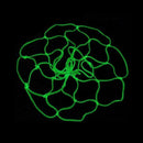 Amazing Glow In The Dark Light Sun Powered Basketball Hoop Net Luminous Shoot