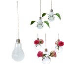 Home Garden Clear High Boron Glass Flower Hanging Vase Terrarium Planter Durable