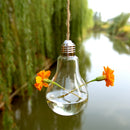 Home Garden Clear High Boron Glass Flower Hanging Vase Terrarium Planter Durable