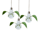 Home Garden Clear High Boron Glass Flower Hanging Vase Terrarium Planter Durable