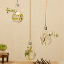 Home Garden Clear High Boron Glass Flower Hanging Vase Terrarium Planter Durable