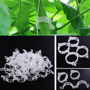 100Pcs Garden Vegetables Tomato Vine Stalks Grow Upright Support Plant YZE