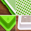 Seed Sprouter Tray Double-layer Soilless Culture Beans Hydroponic Nurser RJY