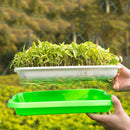 Seed Sprouter Tray Double-layer Soilless Culture Beans Hydroponic Nursery Tray d