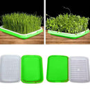 Seed Sprouter Tray Double-layer Soilless Culture Beans Hydroponic Nursery Tray d
