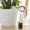 Indoor Plants Automatic Drip Irrigation Water System Flower Pot Watere KTC