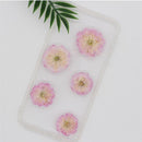 Decoration Multi-purpose DIY Real Dried Flowers Pressed Flowers Sakura Crafts