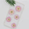 Decoration Multi-purpose DIY Real Dried Flowers Pressed Flowers Sakura Crafts