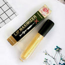 Lip Plumper Extreme Lip Gloss Maximizer Plump Volume Bigger Moisturizing Y8E2
