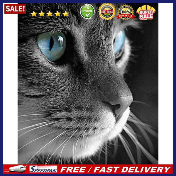 Cat Frameless Picture Oil Paint By Numbers Hand Painted Picture for Bedroom