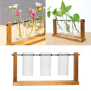 Ornaments Hydroponic Plant Vase Plant Flower Pot Glass Vase Flower Arrangement