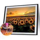 DIY Diamond Painting Full Round Drill Sunset Flower Field Wall Decor Rhinestones