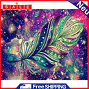 Oil Paint By Numbers Picture DIY Painting Colorful Feathers Drawing on Canvas
