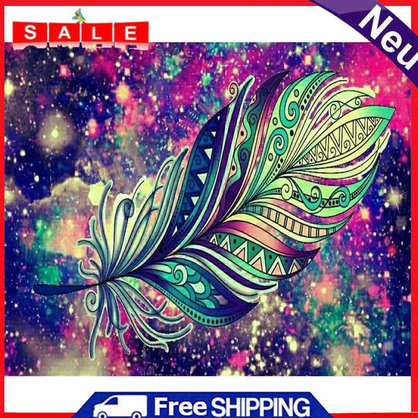 Oil Paint By Numbers Picture DIY Painting Colorful Feathers Drawing on Canvas