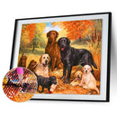 5D Diamond Embroidery Paintings Magic Dog Rhinestone Pictures Drawing Set w