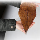 10pcs Improve Water Quality Leaf PH Acidity Aquarium Terminal Leaves Cover