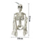 Poseable Full Life Skeleton Prop Halloween Decorati Party H3Q2 E6B4