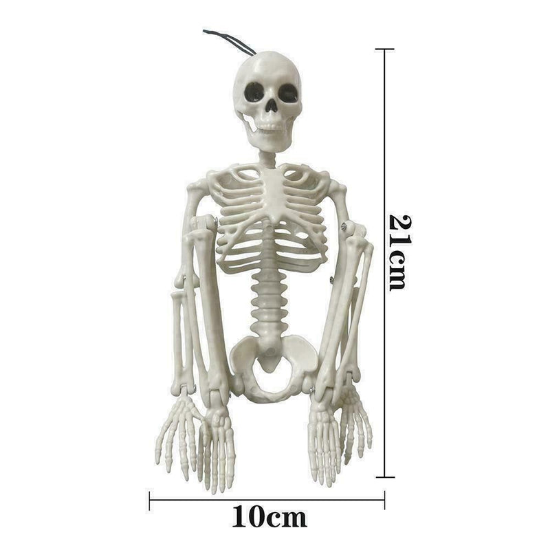 Poseable Full Life Skeleton Prop Halloween Decorati Party H3Q2 E6B4