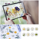 Dried Flower Material Package Real Pressed Dry Flowers & Leaves (White) Newly