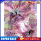 Pink Flower Oil Paint By Numbers Kits Canvas Picture DIY Wall Art Crafts