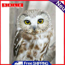 DIY Diamond Painting Full Drill Picture of Rhinestone Owl Cross Stitch 30x40cm