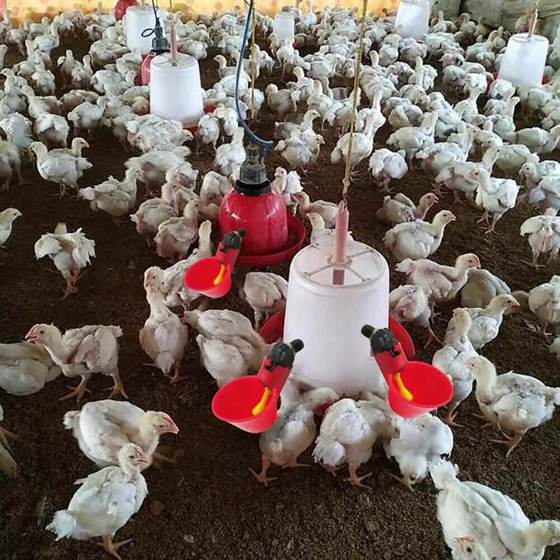 5x Chicken Drinker Drinking Cups Poultry Coop Water Drinking Feeder for Backyard