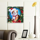 Christmas Cat Oil Paint By Numbers Kits Canvas DIY Picture Hand Painted Wall Art