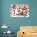 5D DIY Diamond Painting Full Drill Flower Kittens Embroidery Animal Mosaic